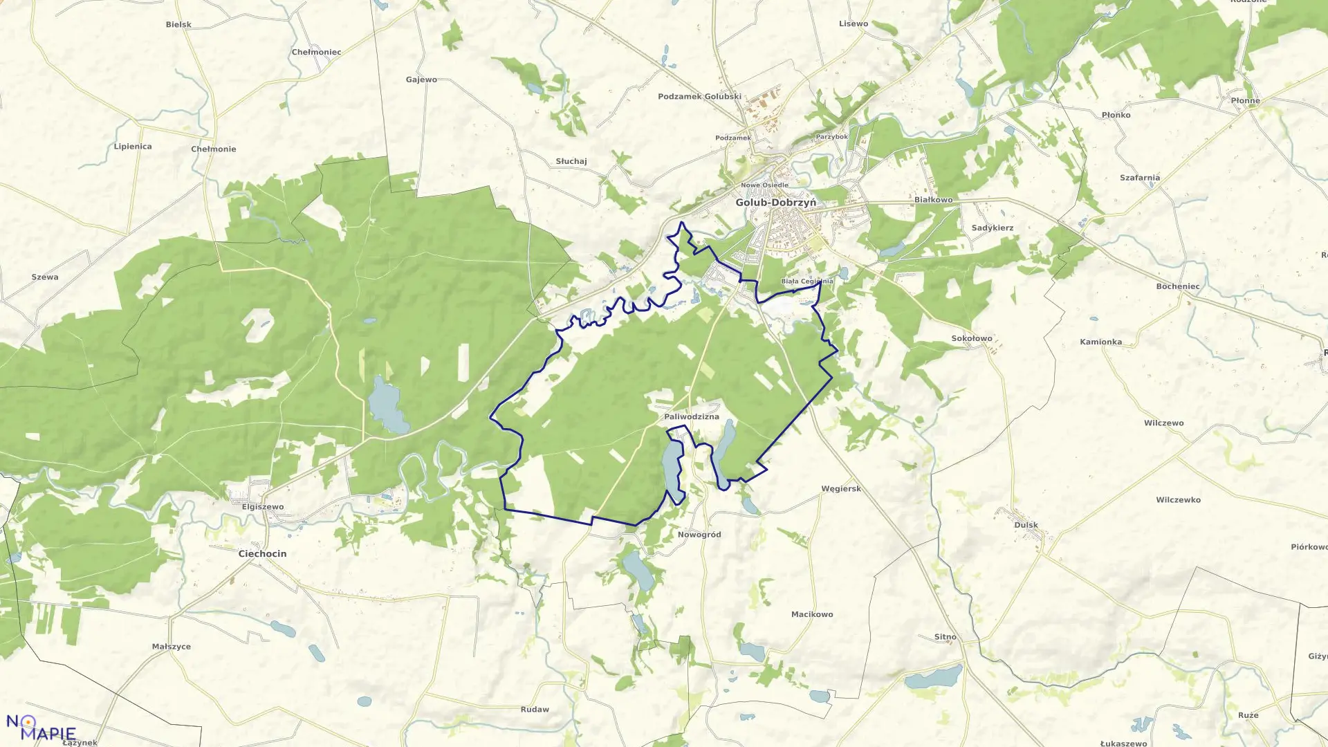 Mapa obrębu Paliwodzizna w gminie Golub-Dobrzyń