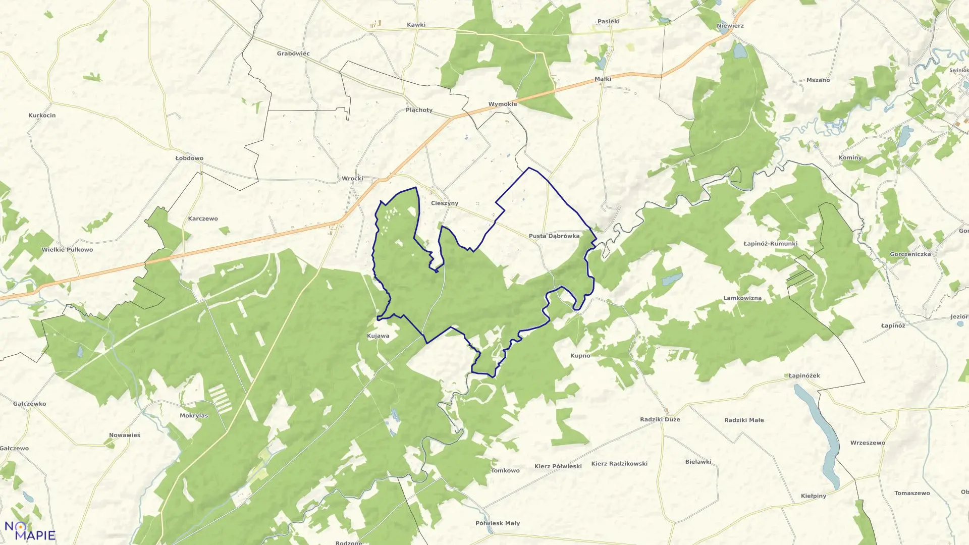 Mapa obrębu Pusta Dąbrówka w gminie Golub-Dobrzyń